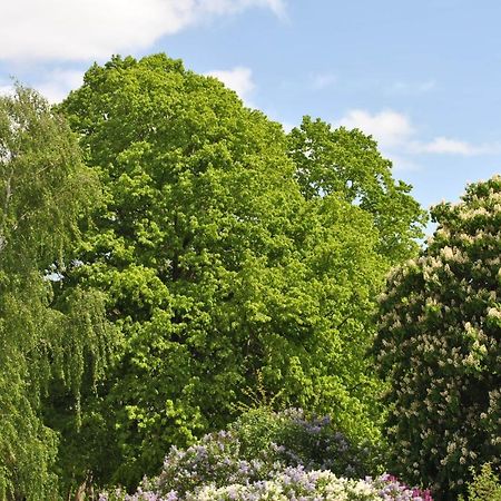 Ferienwohnungen Am Plaetlinsee Wustrow  Экстерьер фото